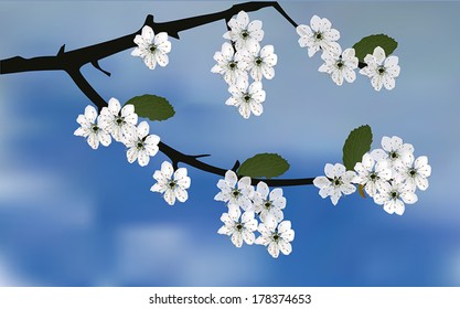 illustration with cherry tree blossom on blue sky background