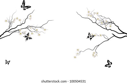 illustration with cherry tree flowers and butterflies on white background