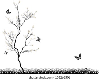 illustration with cherry tree flowers and butterflies on white background
