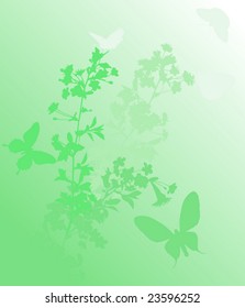 illustration with cherry tree flowers and butterflies silhouette on white background