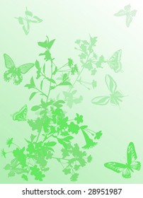 illustration with cherry tree flowers and butterflies silhouette on white background