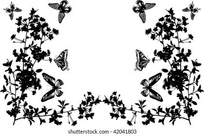 illustration with cherry tree flowers and butterflies silhouette on white background