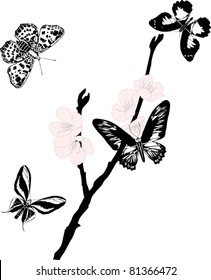 illustration with cherry tree flowers and butterflies silhouette on white background