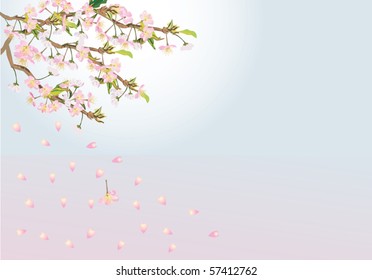 ilustración con flores de cerezo