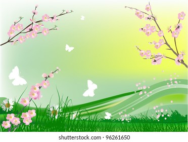 illustration with cherry tree flowers and green spring landscape