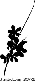 illustration with cherry tree flowers isolated on white background