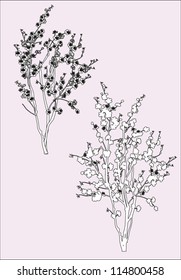 illustration with cherry tree flowers on pink background