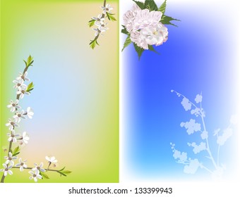 illustration with cherry tree flowers on green and blue background