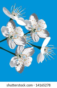 ilustración con flores de árbol de cerezo en fondo azul