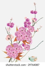 illustration with cherry tree flowers on blue background