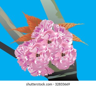 illustration with cherry tree flowers on blue background