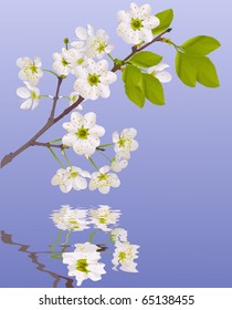 ilustración con flores de árbol de cerezo en fondo azul