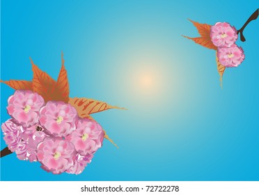 Illustration mit Kirschblumen auf blauem Hintergrund