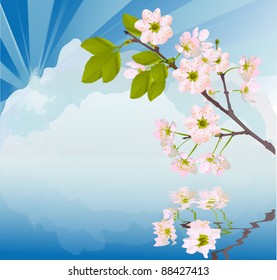illustration with cherry tree flowers on blue sky background