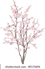 illustration with cherry tree flowers on white background