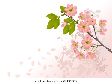 ilustración con flores de árbol de cerezo sobre fondo rosa claro