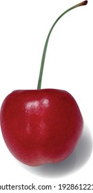 illustration of a cherry tree. Idea for the advertising of food products