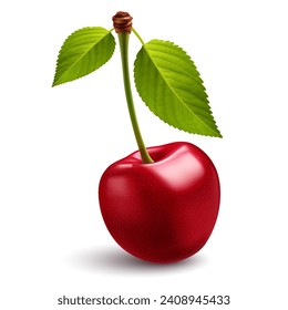 Illustration of Cherry with a two green leaf on a white background