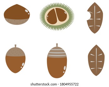Illustration of chestnut and acorn