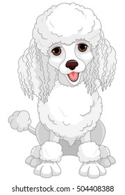 Illustration of chic poodle 