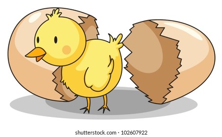 Illustration of a chick hatching