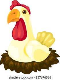 illustration  Chicken