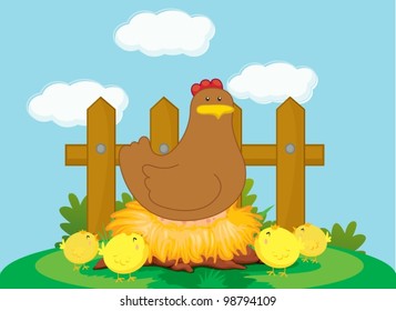 Illustration of a chicken and chicks