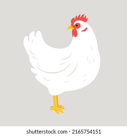 Illustration of chicken. Contour vector illustration.