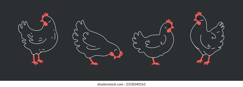 Illustration of chicken. Contour vector illustration.