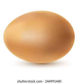 Ilustração ovo de galinha em um fundo branco. Vetor.