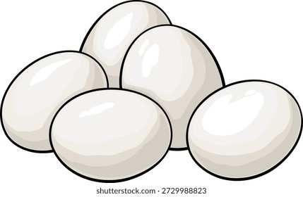 Illustration of chicken eggs without background.