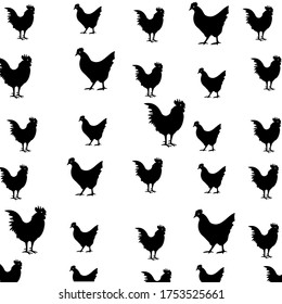 
illustration of chicken in a flat style. chicken theme.
