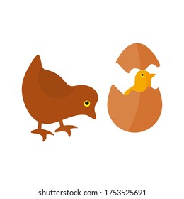 
illustration of chicken in a flat style. chicken theme.