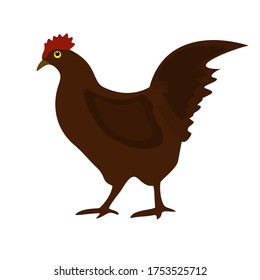 
illustration of chicken in a flat style. chicken theme.
