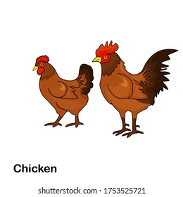 
illustration of chicken in a flat style. chicken theme.