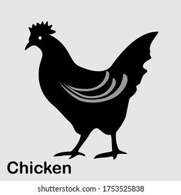 
illustration of chicken in a flat style. chicken theme.