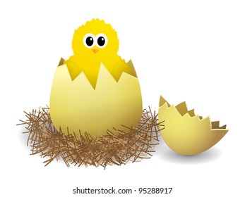 Illustration of a chicken in a nest on white background