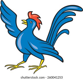 Illustration of a chicken rooster pointing wing looking to the side set on isolated white background done in cartoon style. 