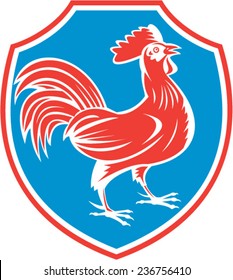 Illustration of a chicken rooster standing viewed from the side set inside shield crest on isolated background done in retro woodcut style. 
