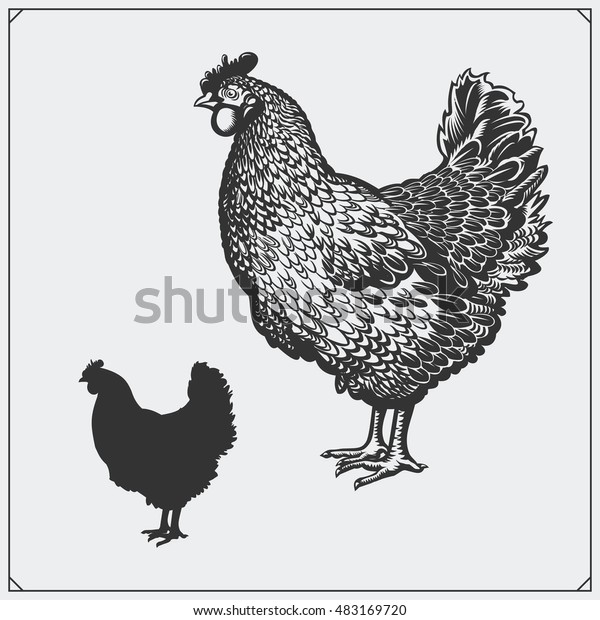 鶏のイラスト 鶏のシルエット のベクター画像素材 ロイヤリティ