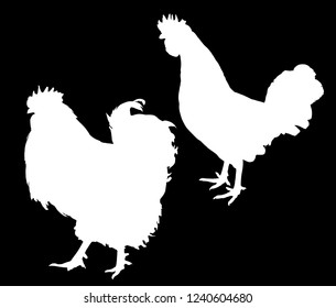 illustration with chicken silhouettes isolated on black background