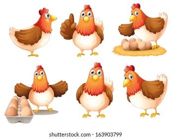 Illustration of the chickens with eggs on a white background