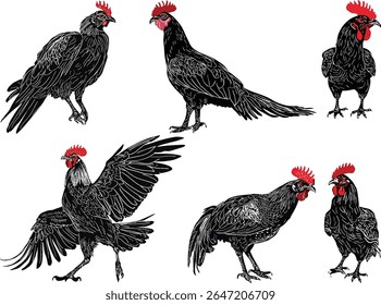 illustration with chickens set isolated on white background