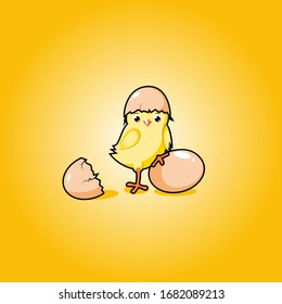 illustration of chicks and eggs, mascot design of chicken hatch 