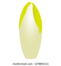 Illustration of the chicory