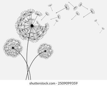 illustration with child blowing on dandelion isolated on white background  