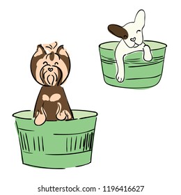 Illustration for children. Cute yorkshire terrier and french bulldog bath in a basin. Hair care and grooming of dogs.