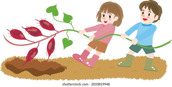 Illustration Of Children Digging For Sweet Potatoes