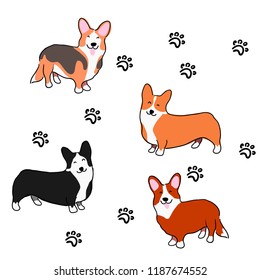 Illustration for children. Lovely furry doggies of welsh corgi. Decorative breeds of dogs. Pattern with welsh corgi and lovely prints of paws.