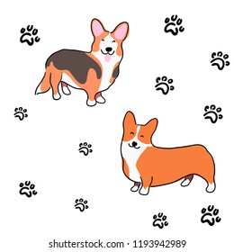 Illustration for children. Lovely pattern. Dogs breed welsh corgi on a background of cute paw prints.